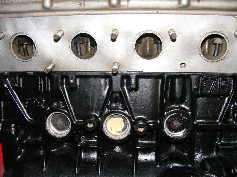 DSCF0239.webp