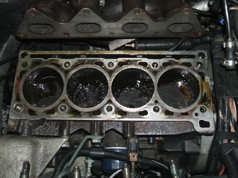 DSCF0254.webp