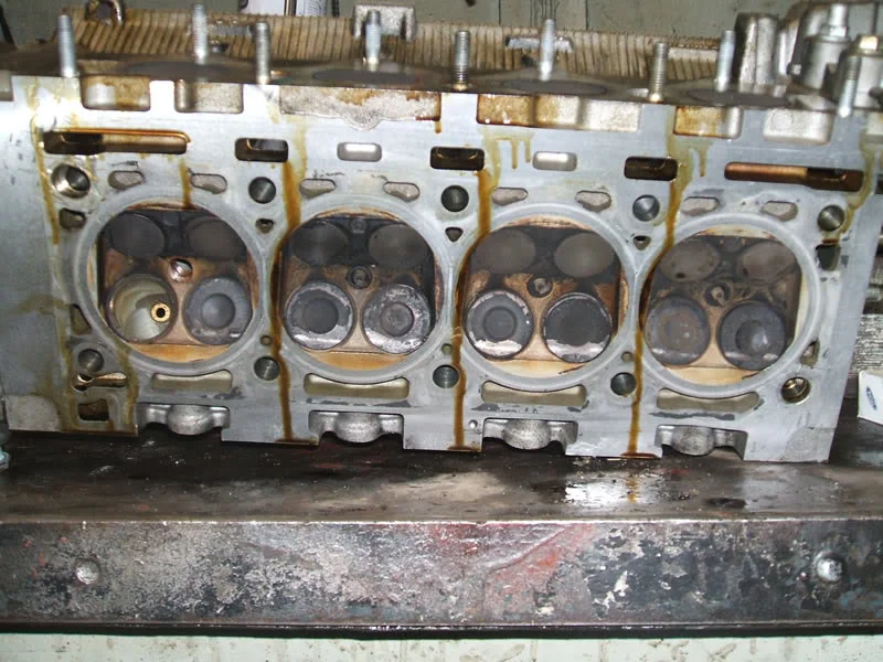 DSCF0255.webp