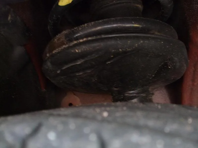 DSCF0262.webp