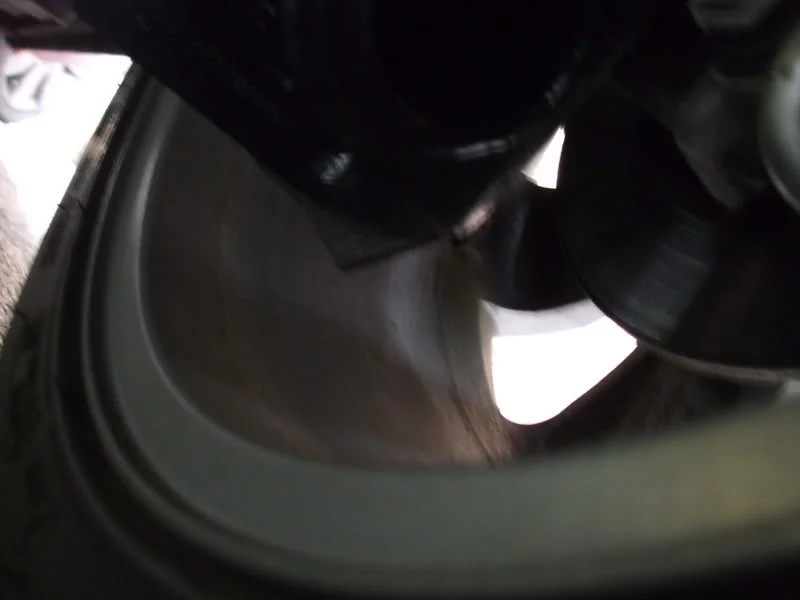 DSCF0266.webp