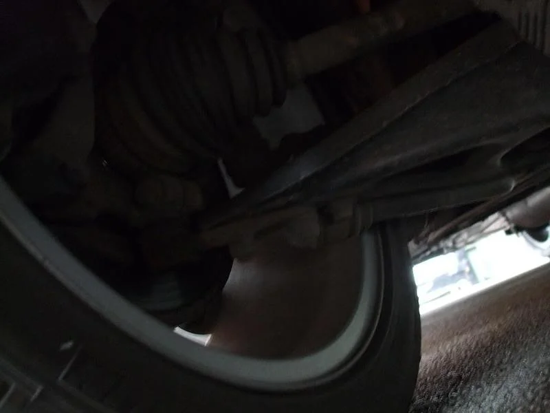 DSCF0269.webp