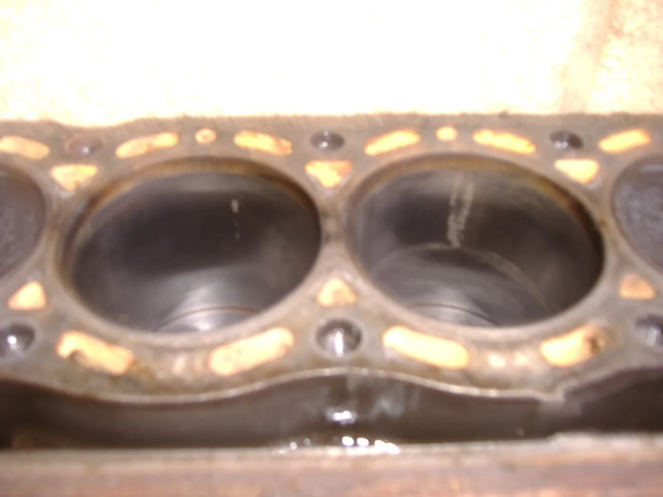 DSCF0294.webp