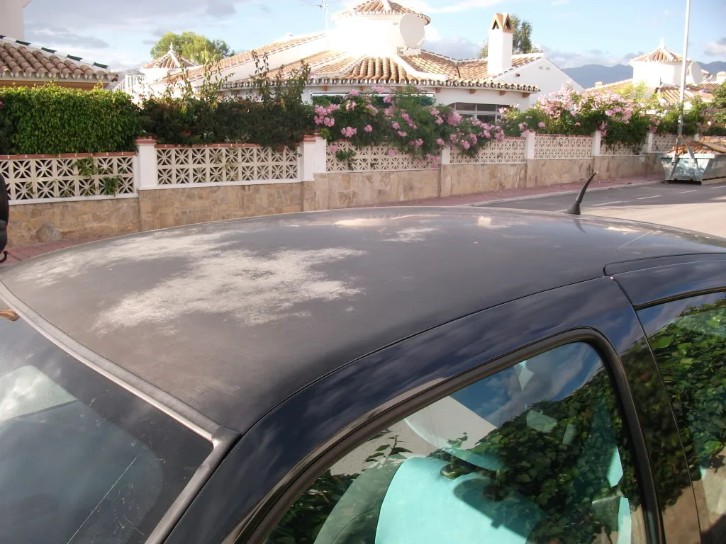 DSCF0310.webp