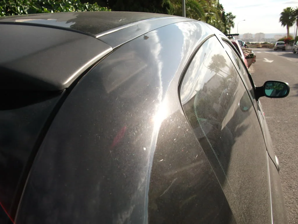 DSCF0311.webp