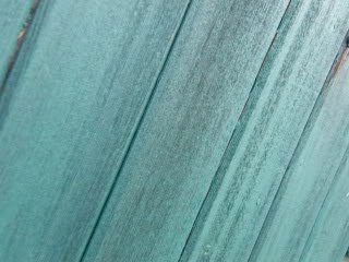 DSCF0313.jpg