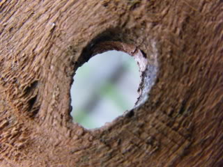 DSCF0314.jpg