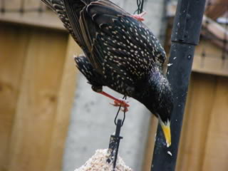 DSCF0322.jpg