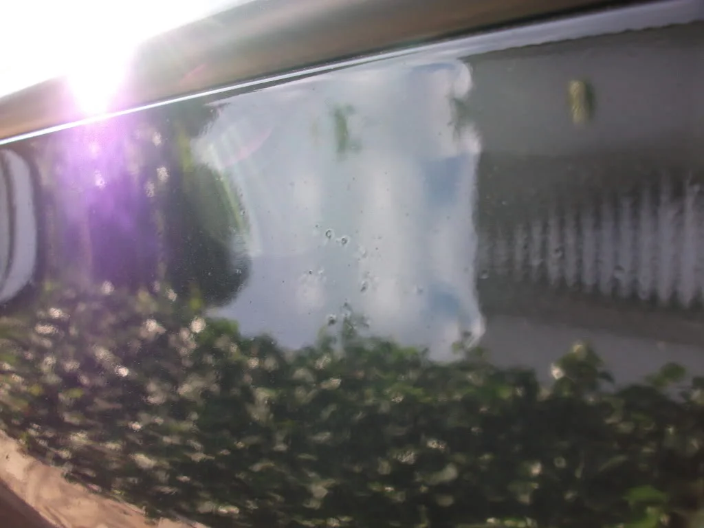 DSCF0324.webp