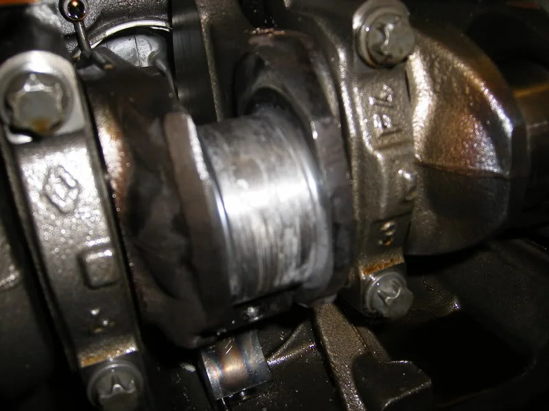 DSCF0345.webp