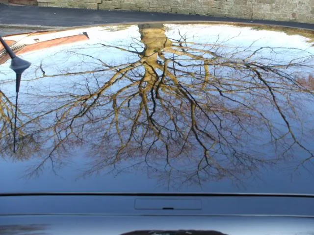 DSCF0348.webp