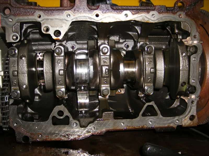 DSCF0353.webp