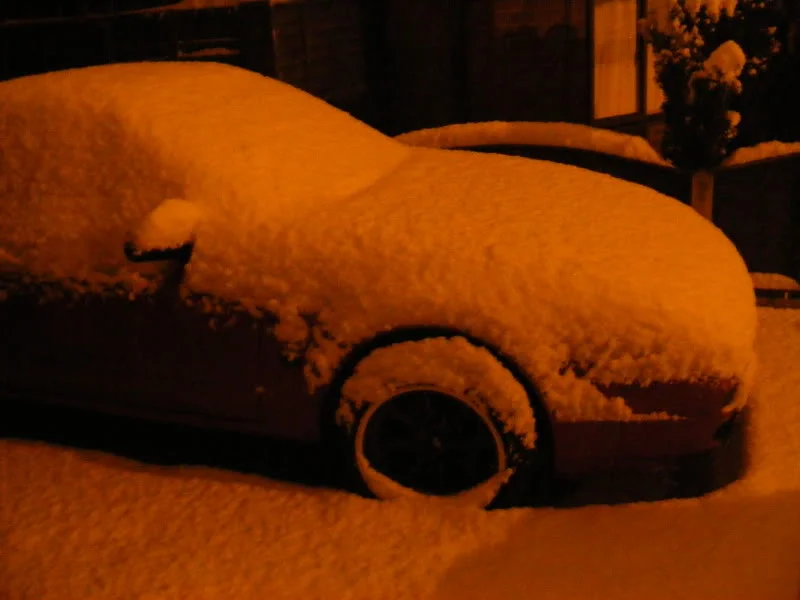 DSCF0360.webp