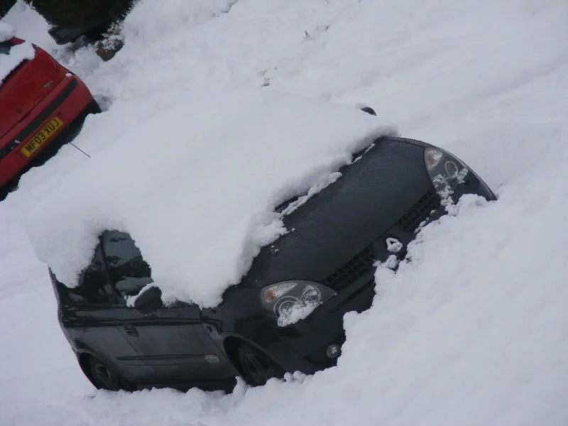DSCF0364.webp