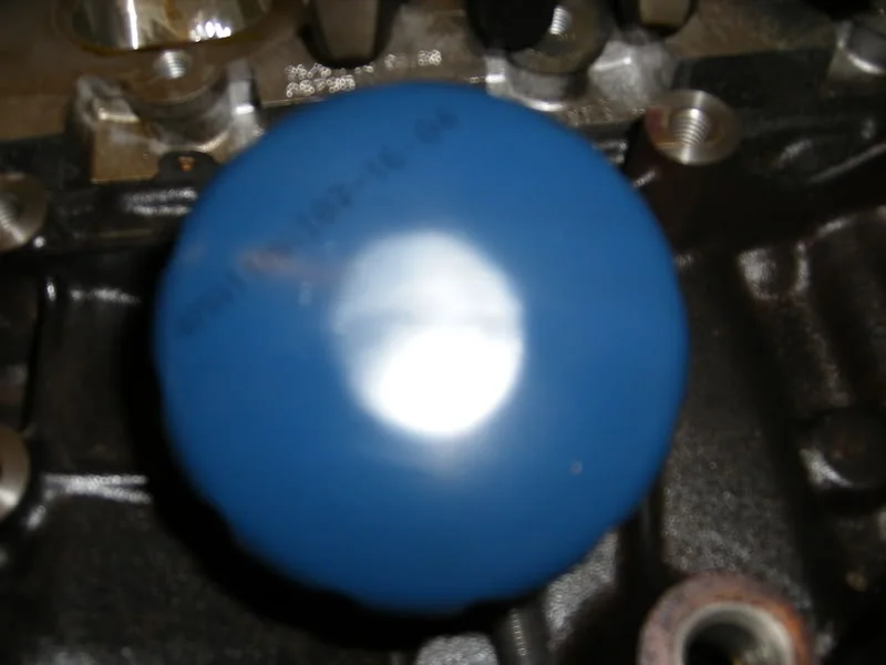 DSCF0369.webp