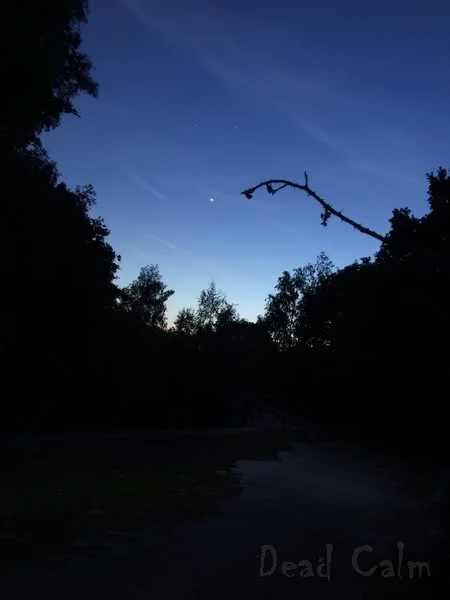DSCF0370.webp