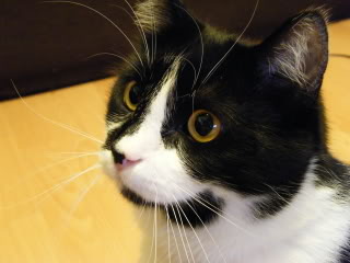 DSCF0372.jpg