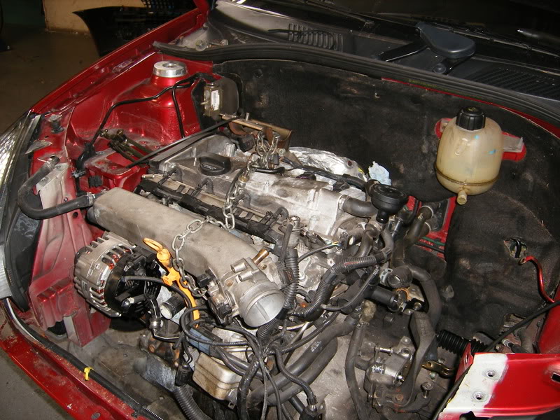 DSCF0381.jpg