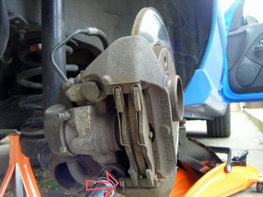DSCF0389-1.webp