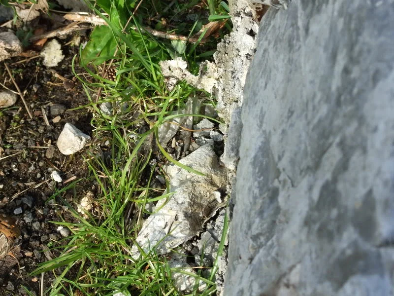 DSCF0408.webp