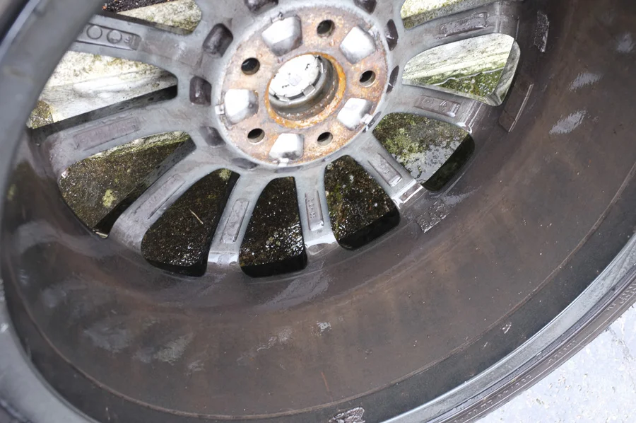 DSCF0419web_zpsdce9b83a.webp