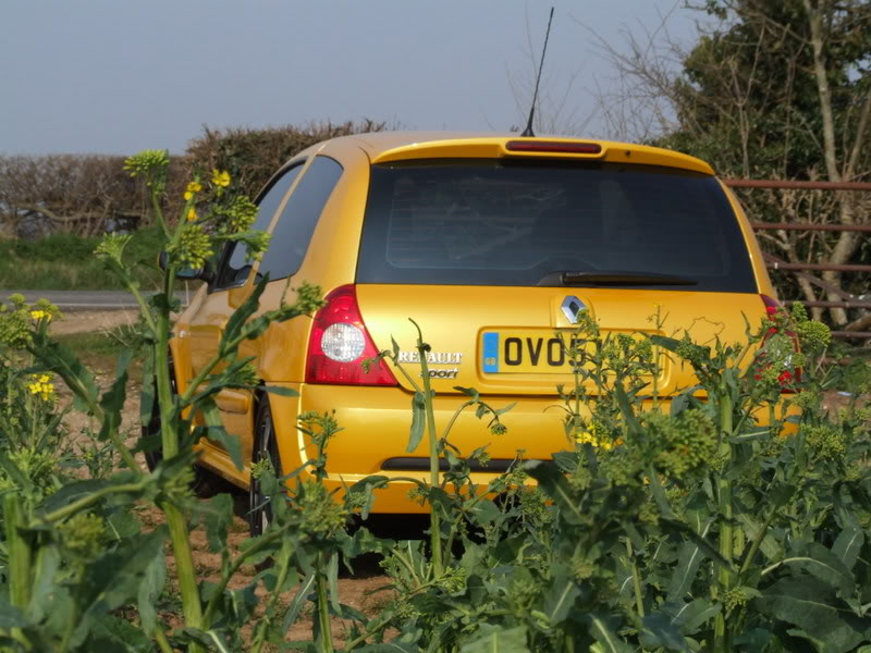 DSCF0423.jpg