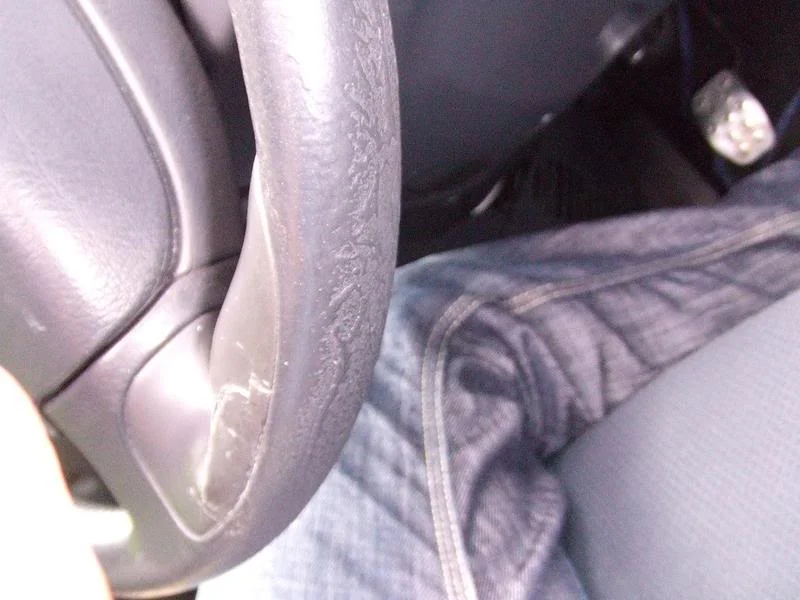 DSCF0433.webp