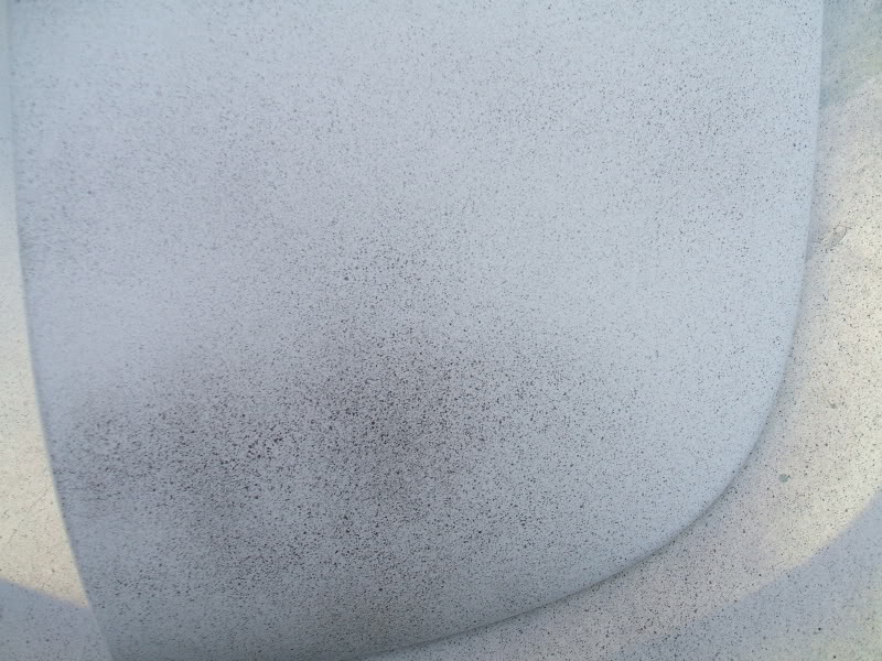 DSCF0439.jpg