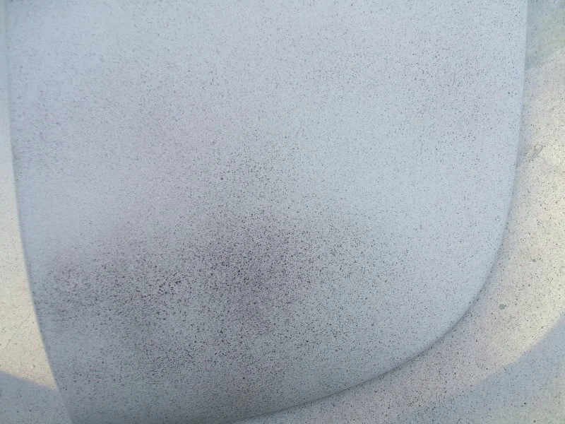 DSCF0439.webp