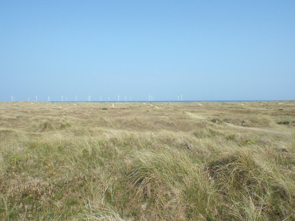 DSCF0474_zps82ce6522.jpg