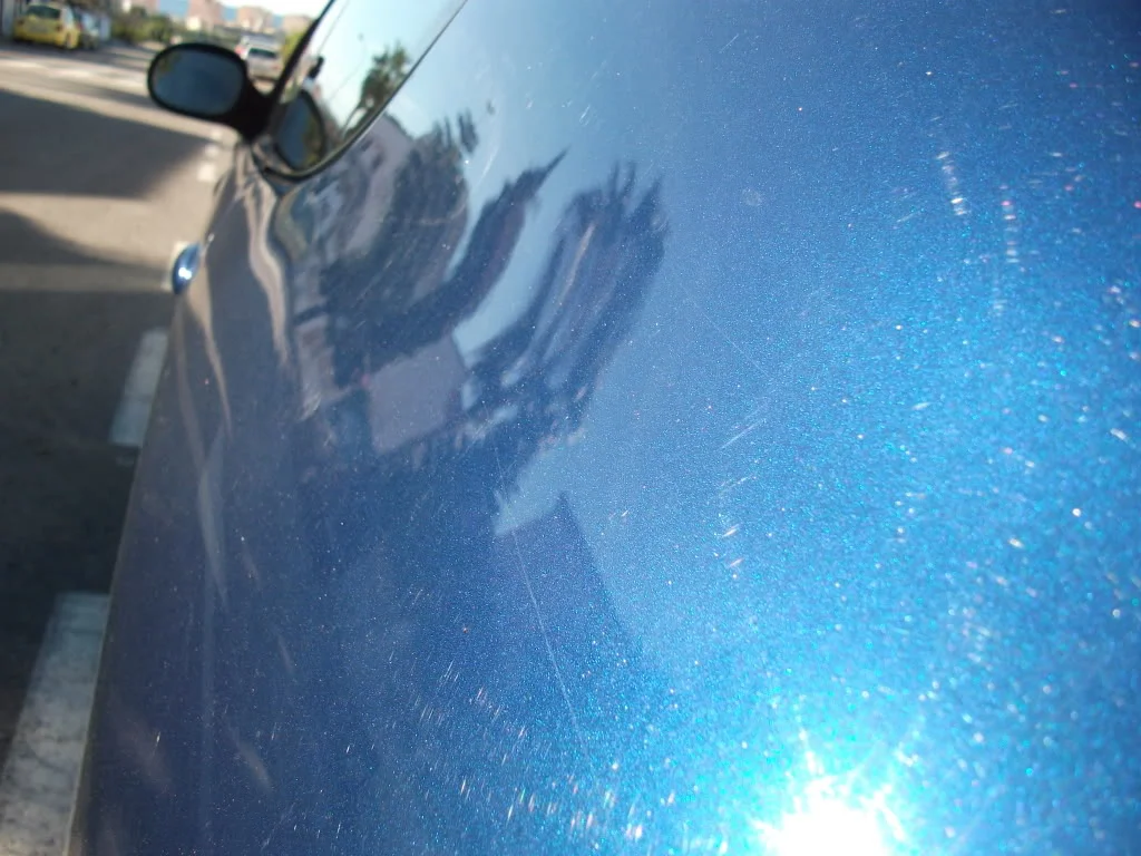 DSCF0481.webp
