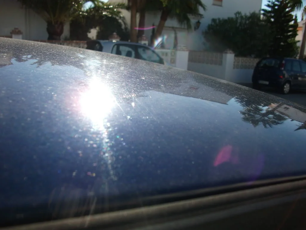 DSCF0485.webp