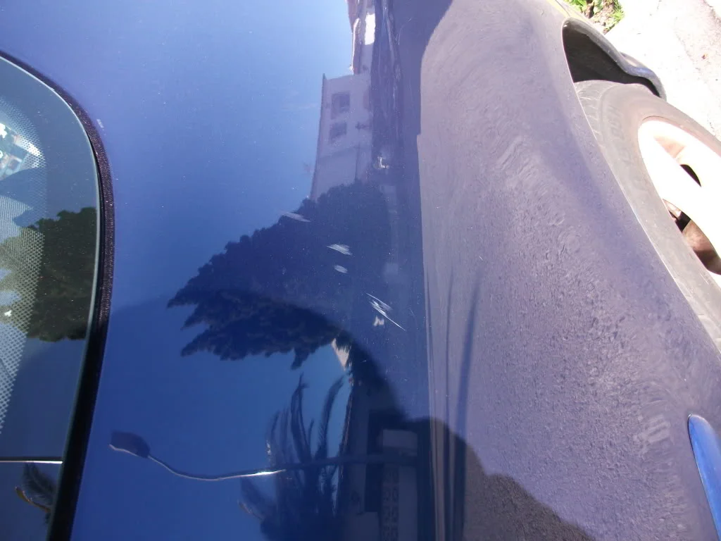 DSCF0488.webp