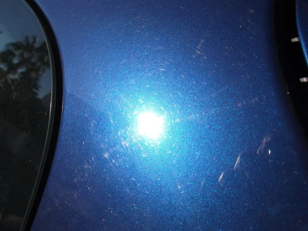 DSCF0491.webp