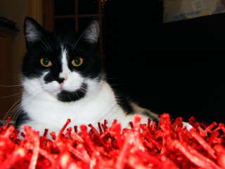 DSCF0492.jpg