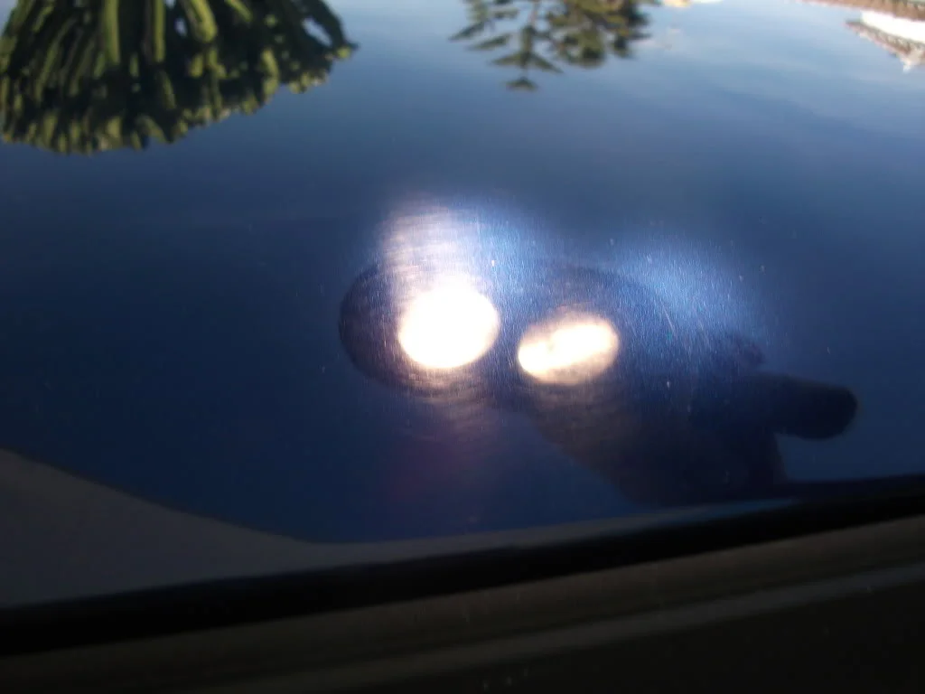 DSCF0504.webp