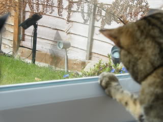 DSCF0508.jpg