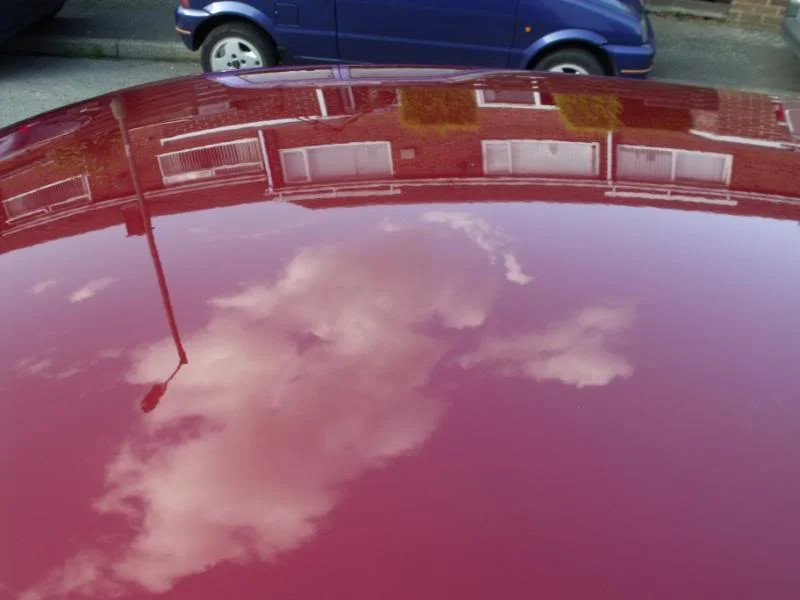 DSCF0511.webp