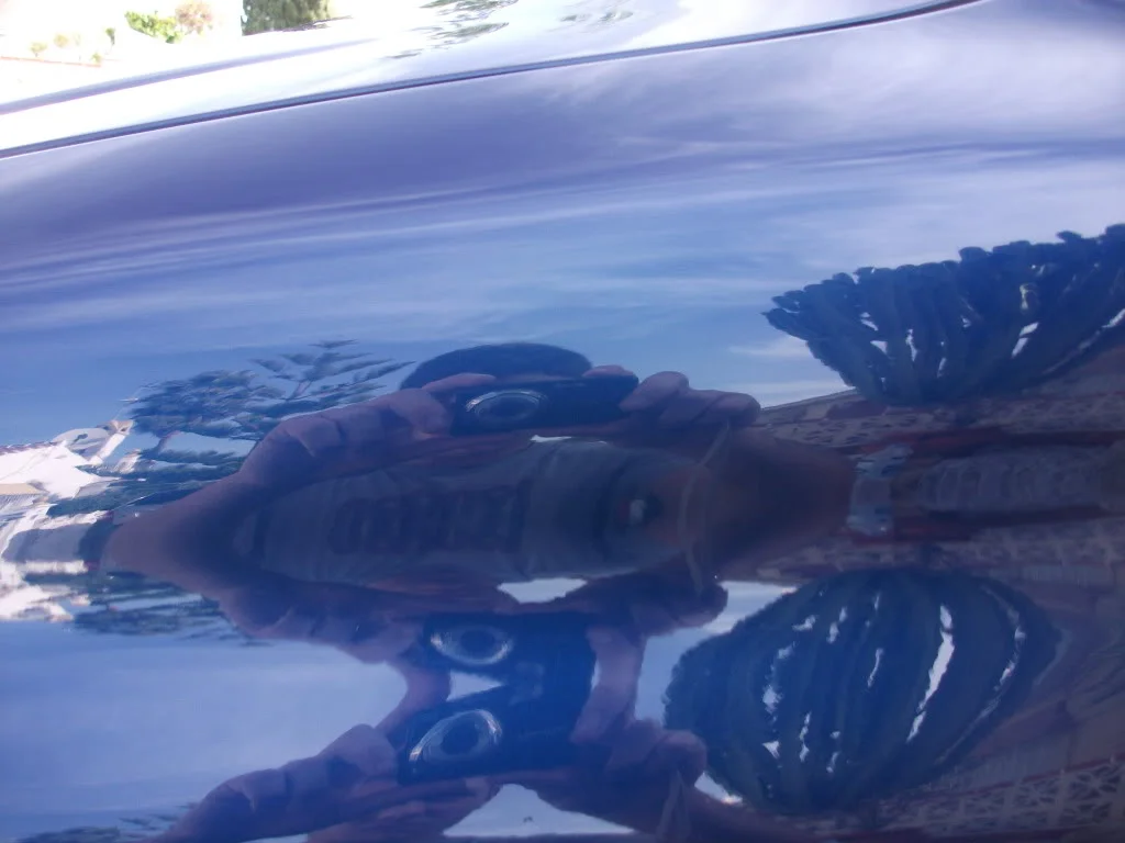 DSCF0524.webp