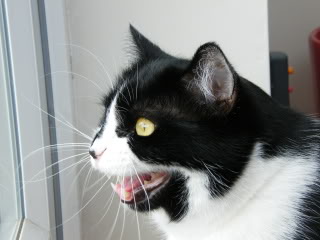 DSCF0529.jpg