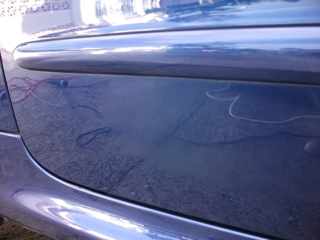 DSCF0533.webp