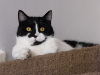 DSCF0547.jpg