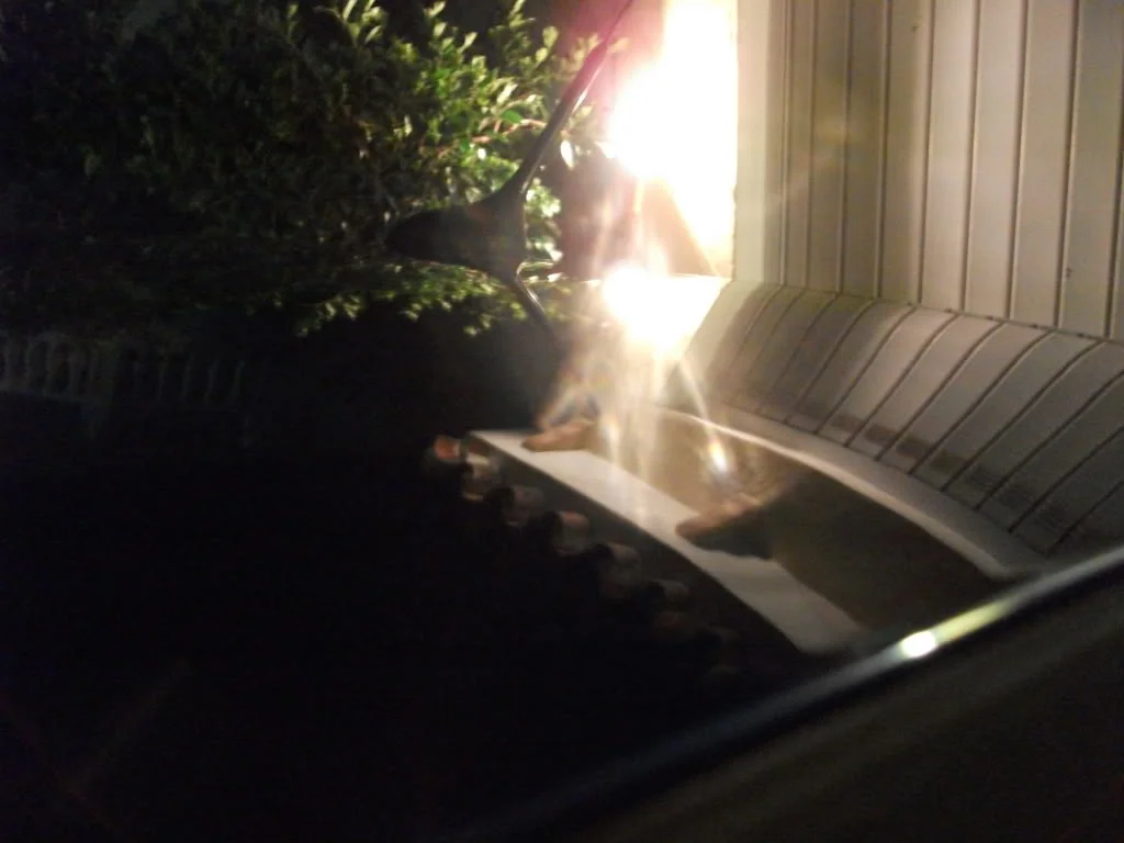 DSCF0554.webp