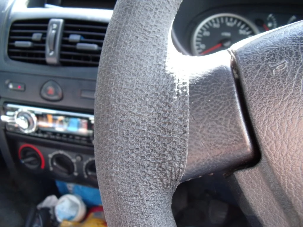 DSCF0569-1.webp
