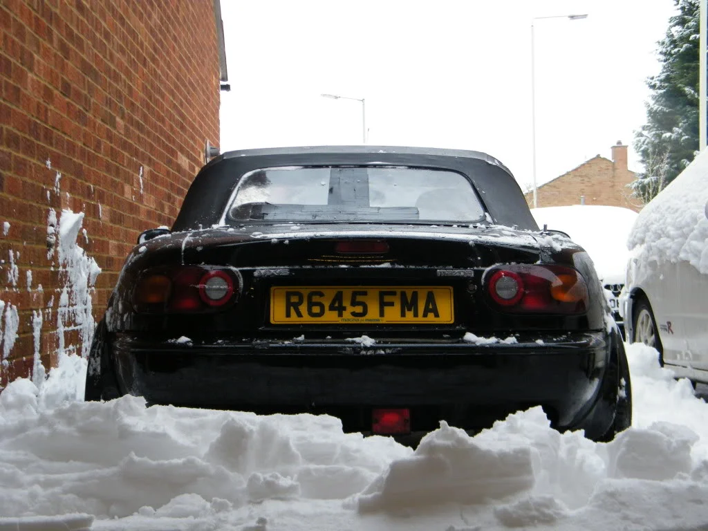 DSCF0617.webp