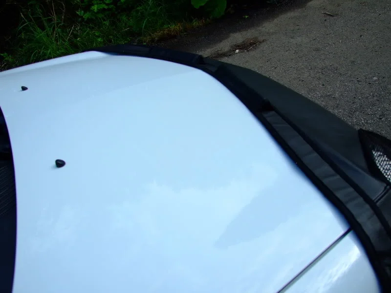 DSCF0631.webp