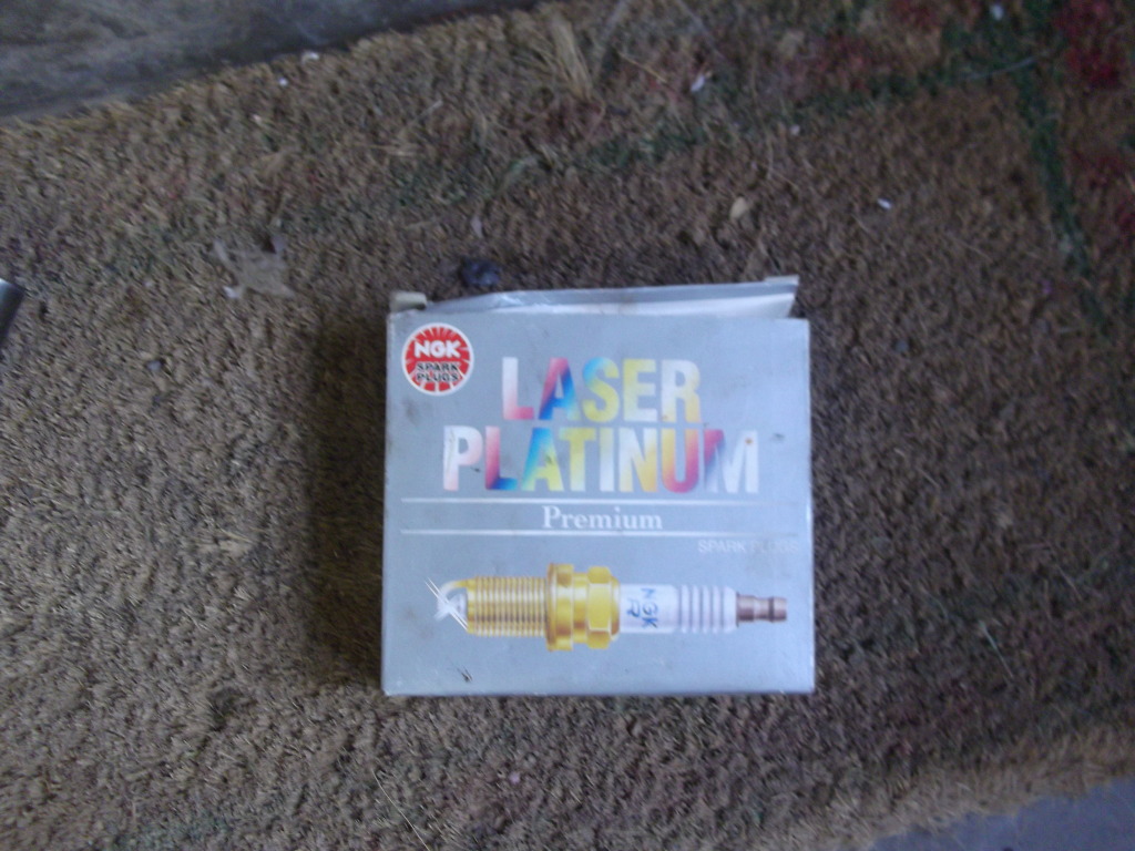 DSCF0646.jpg