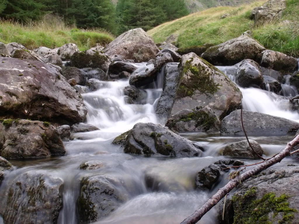 DSCF0674-1.webp