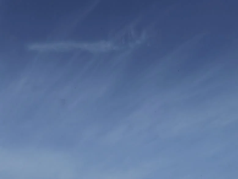 DSCF0804.webp
