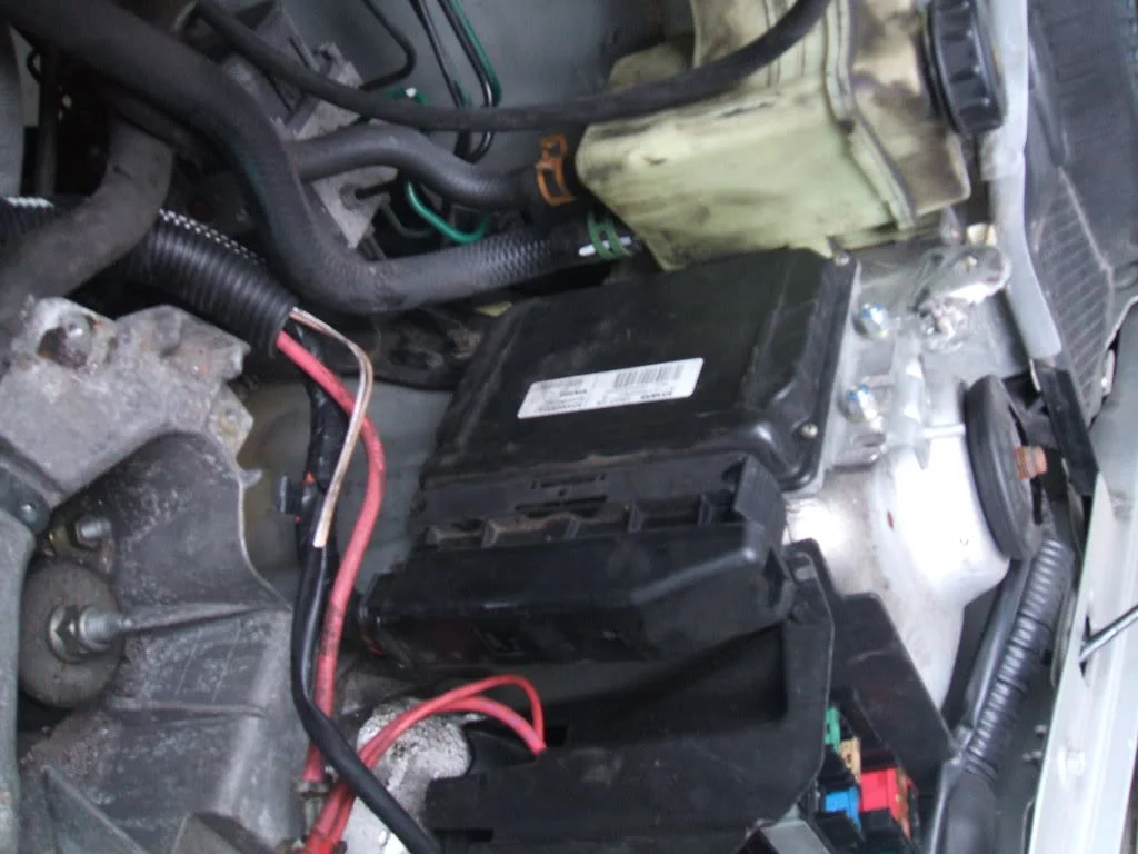 DSCF0874.webp